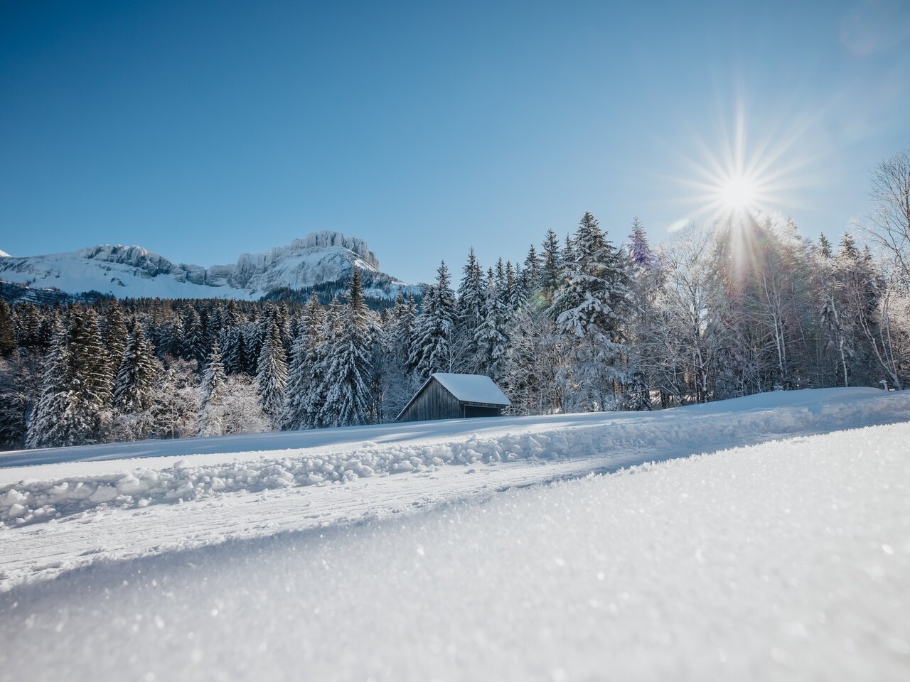 © Katrin Kerschbaumer Photography | Katrin Kerschbaumer Photography