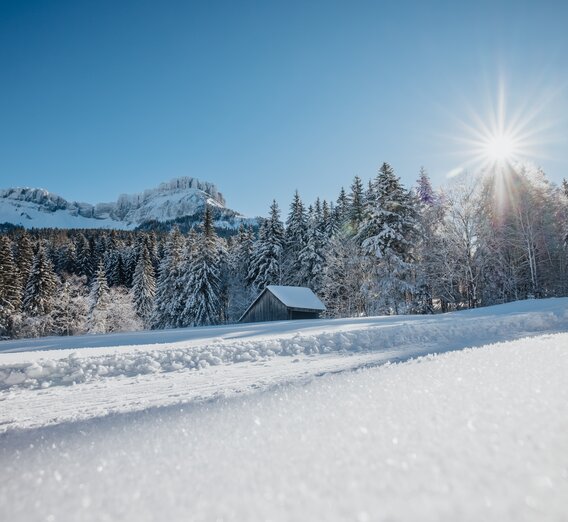 © Katrin Kerschbaumer Photography | Katrin Kerschbaumer Photography