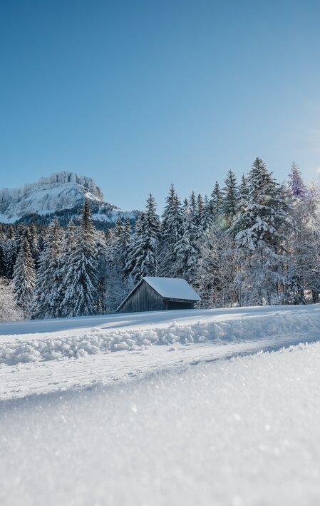 © Katrin Kerschbaumer Photography | Katrin Kerschbaumer Photography