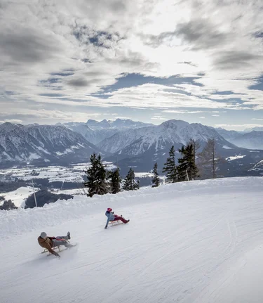 © Tom Lamm | ikarus.cc | Tom Lamm