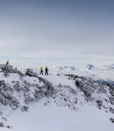 © Tom Lamm | Tom Lamm