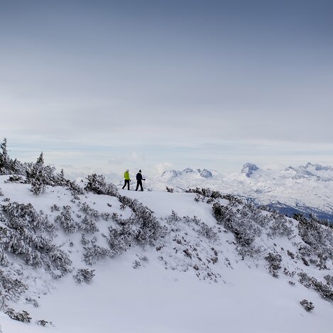 © Tom Lamm | Tom Lamm