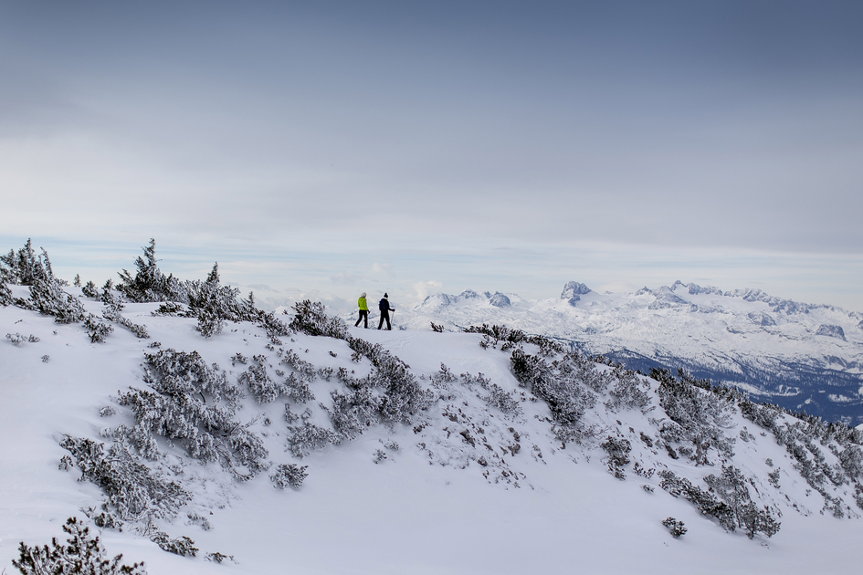 © Tom Lamm | Tom Lamm