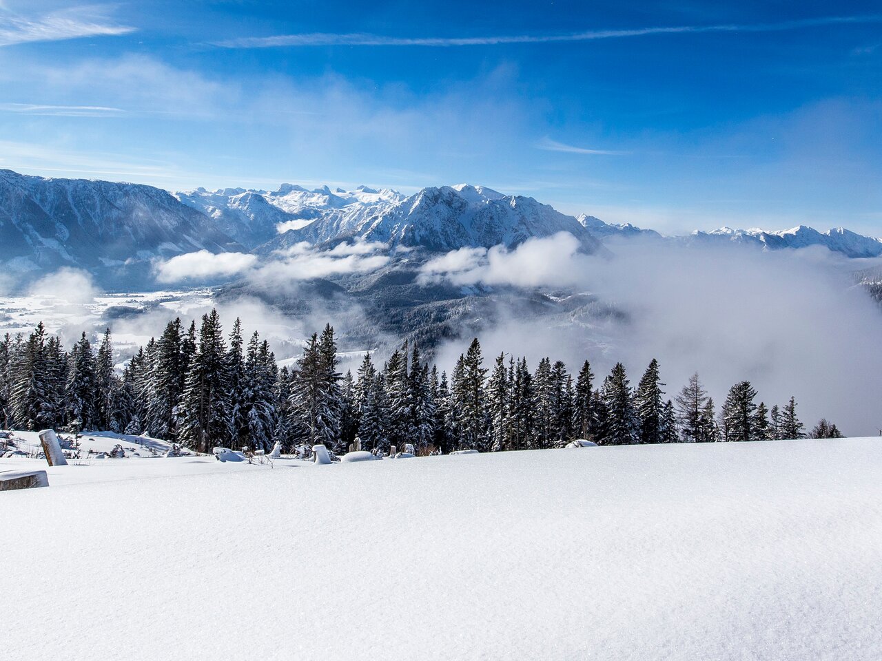 © Tom Lamm | ikarus.cc | Tom Lamm