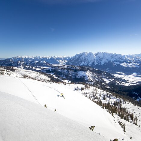 © Tom Lamm | ikarus.cc | Tom Lamm