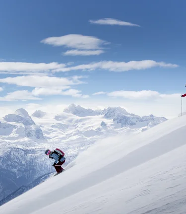 © Tom Lamm | ikarus.cc | Tom Lamm