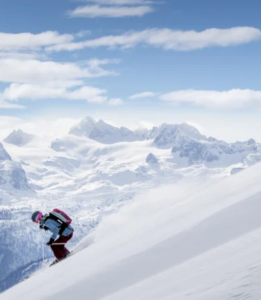 © Tom Lamm | ikarus.cc | Tom Lamm