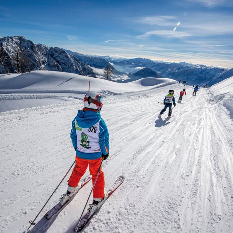 © Tom Lamm | ikarus.cc | Tom Lamm