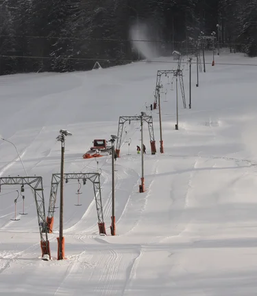 © Copyright:IanWalter | Ian Walter