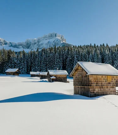 © Katrin Kerschbaumer Photography | Katrin Kerschbaumer Photography