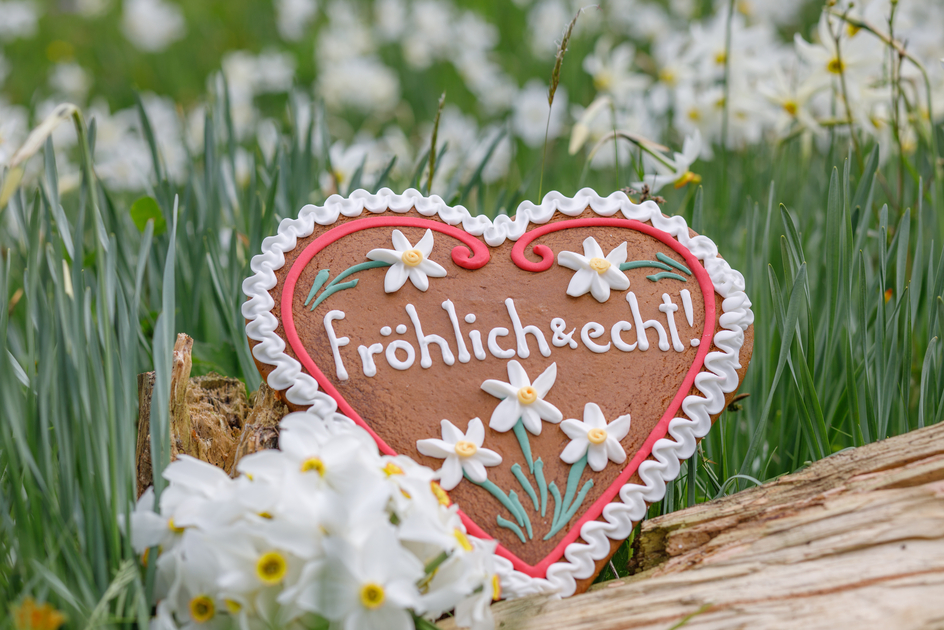 61. Narzissenfest im Ausseerland-Salzkammergut | © (c) Narzissenfestverein / Martin Huber | Narzissenfestverein / Martin Huber