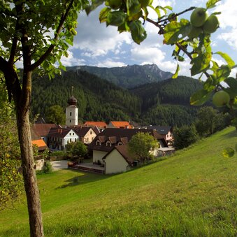 Ortsbild Breitenau am Hochlantsch | © Bergmann
