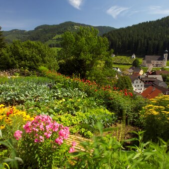 Gasen Panorama | © Bergmann