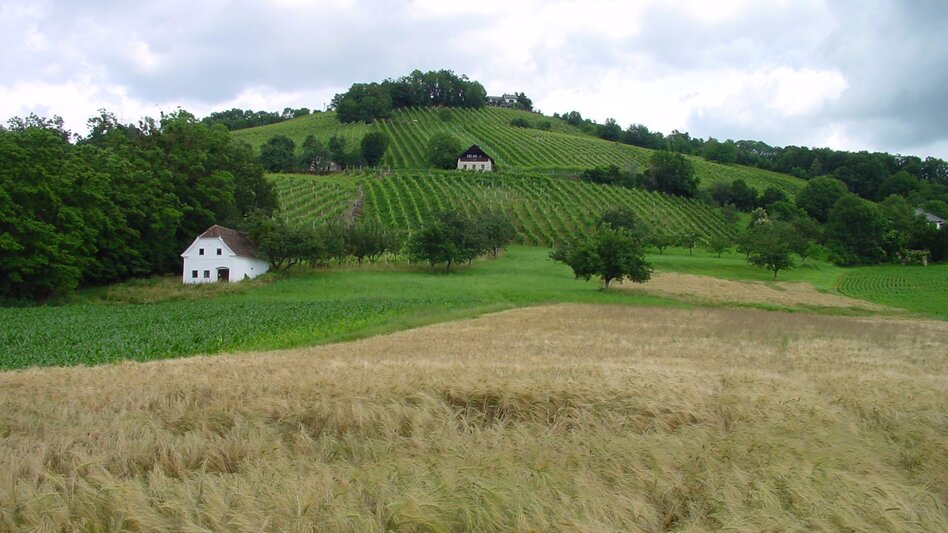 Hartberg Umgebung - Impression #2.1