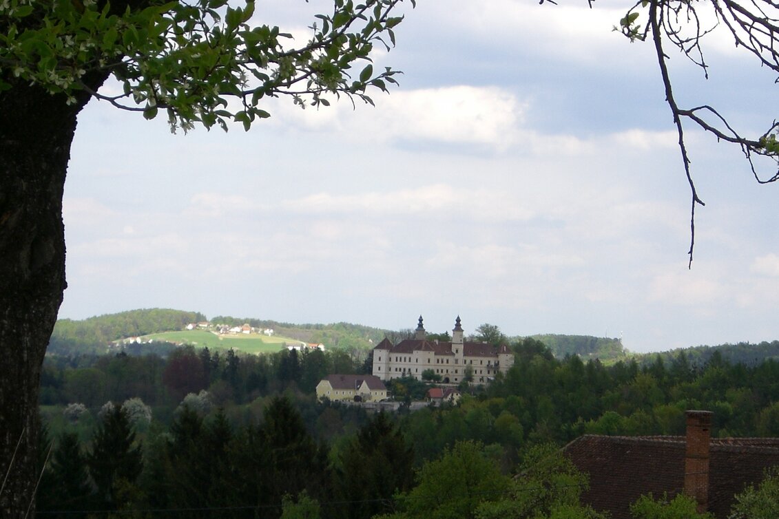 Ludersdorf - Wilfersdorf - Impression #1