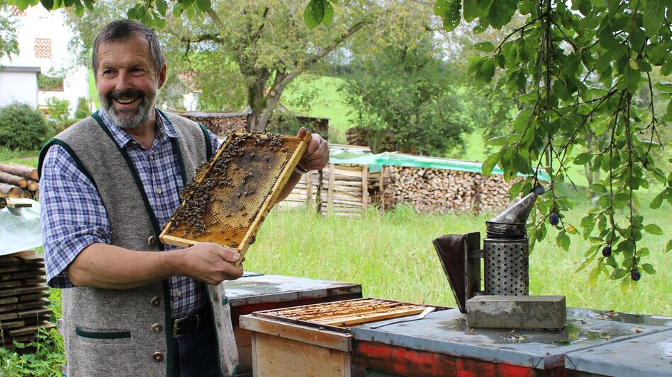 Passail - Impression #2.5 | © Pollhammer