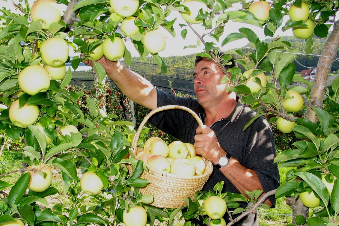 Puch bei Weiz - Impression #1