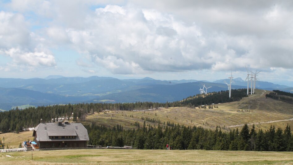 Ratten - Impression #2.9