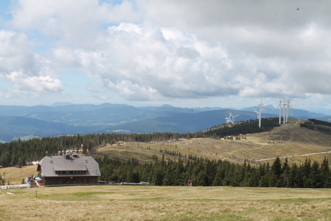 Ratten - Impression #1