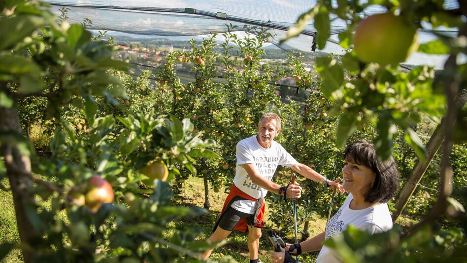 St. Ruprecht an der Raab - Impression #2.2