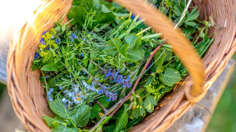 St. Lorenzen am Wechsel - Impression #2.6