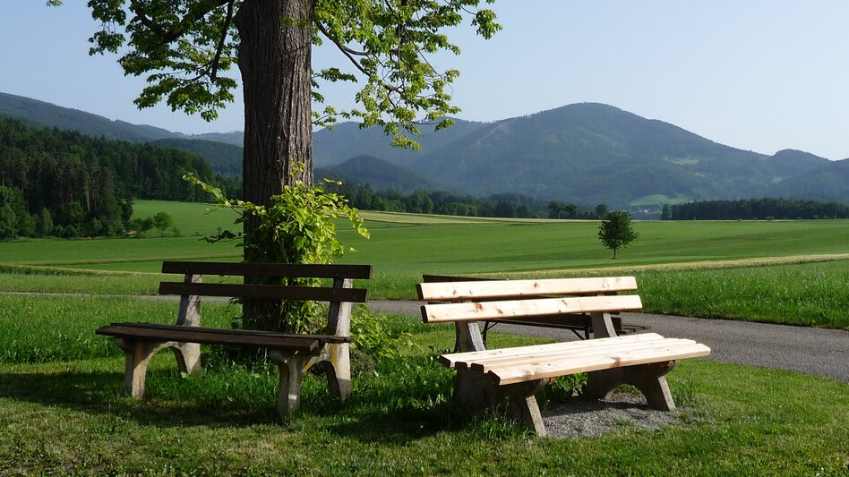 Thannhausen - Impression #2.1