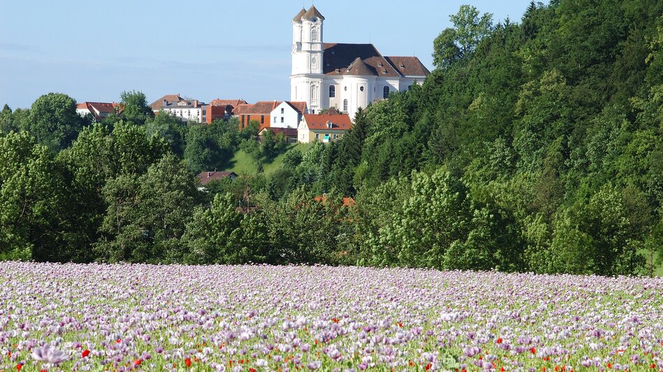 Thannhausen - Impression #2.7