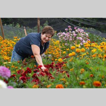 Blumenkorso 2023 am Pöllauberg in der Oststeiermark | © TV Oststeiermark | Rene Strasser