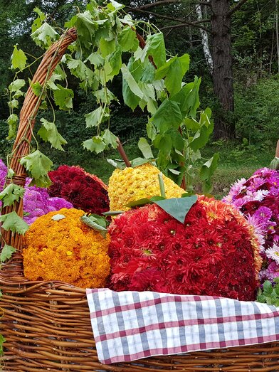 Blumenkorso 2023 am Pöllauberg in der Oststeiermark | © TV Oststeiermark | Christine Schwetz