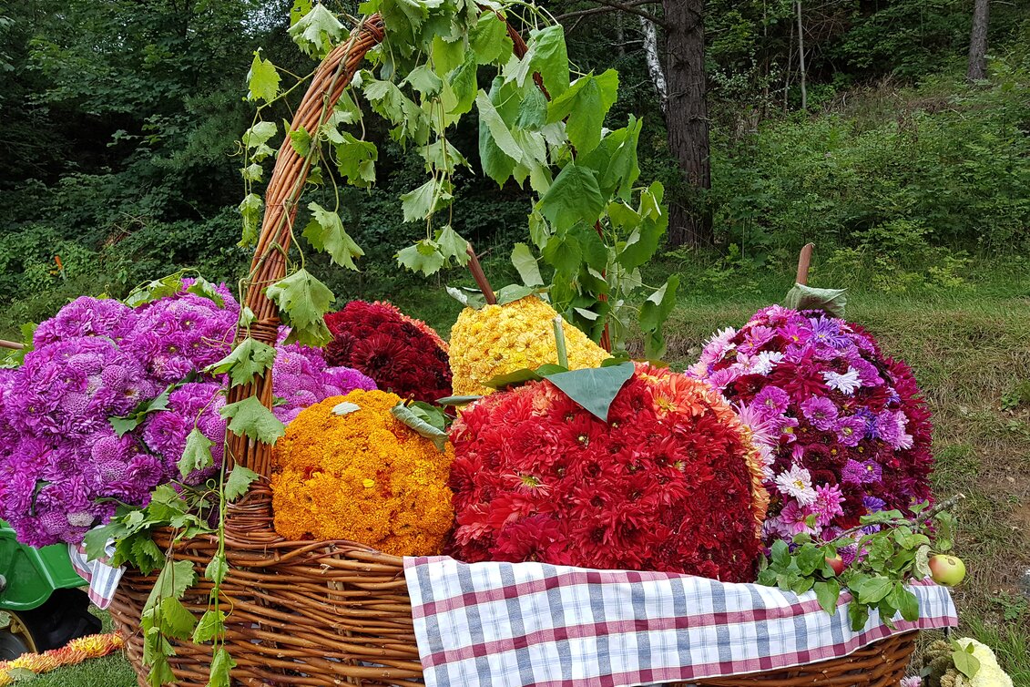 Package"Die Oststeiermark blüht auf" - Blumenkorso 2025 in Vorau - 2 oder 3 Nächte mit/ohne Frühstück bei einem oststeirischen Gastgeber Ihrer Wahl