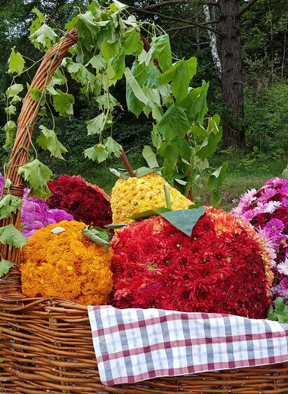 Blumenkorso 2023 am Pöllauberg in der Oststeiermark | © TV Oststeiermark | Christine Schwetz