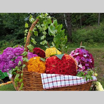 Blumenkorso 2023 am Pöllauberg in der Oststeiermark | © TV Oststeiermark | Christine Schwetz