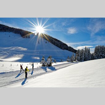 Langlaufen in der Oststeiermark | ©  Oststeiermark Tourismus | H. Toperczer