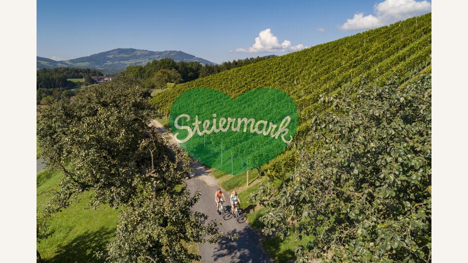 Radfahren zwischen Weinreben auf der Oststeirischen Römerweinstraße | © Oststeiermark Tourismus | Bernhard Bergmann