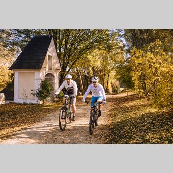 Mountainbiken in der oststeirischen Herbstlandschaft  | © 
Oststeiermark Tourismus | Christian Strassegger