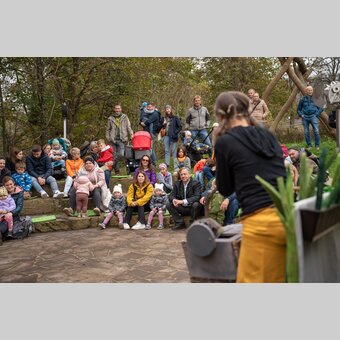 Das Kuddel-Muddel-Theater zog das junge Publikum in seinen Bann | © Frutura