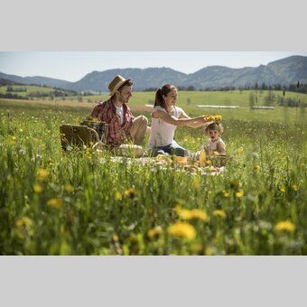 Picknick im Naturpark Almenland in der Oststeiermark | ©  Oststeiermark Tourismus | Bernhard Bergmann
