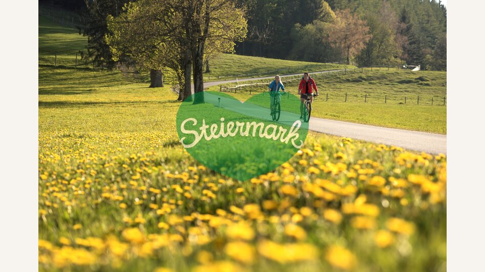 Radfahren inmitten blühender Landschaft in der Oststeiermark | ©  Oststeiermark Tourismus | Bernhard Bergmann