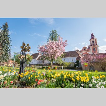 Blühende Bäume im Schlosspark Pöllau in der Oststeiermark | ©  Oststeiermark Tourismus | Helmut Schweighofer