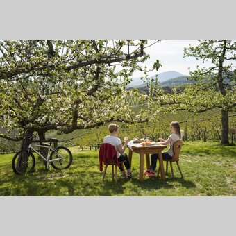 Kulinarischer Genuss zwischen blühenden Apfelgärten in der Oststeiermark | ©  Oststeiermark Tourismus | Bernhard Bergmann
