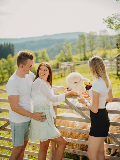 Hotel Der Almblick in Eastern Styria | © Der Almblick | Schrotter