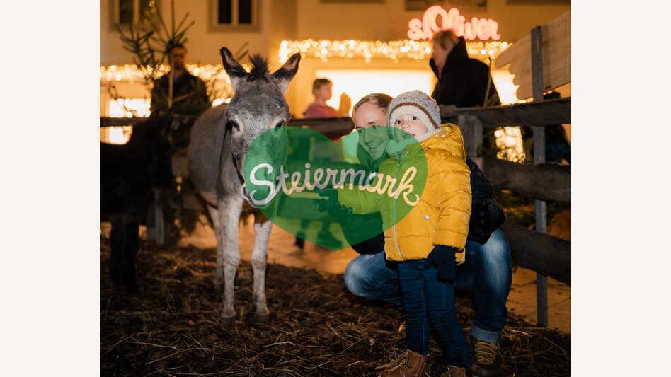 Hartberger Adventmarkt am Hauptplatz mit Esel | studio draussen | © Oststeiermark Tourismus, cmvisuals