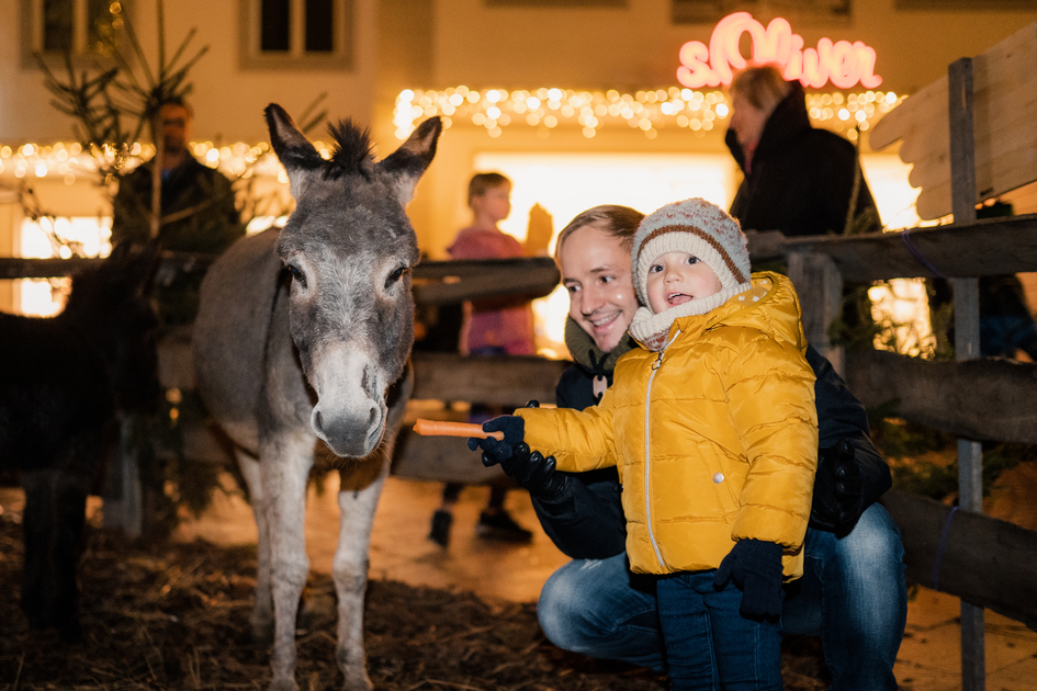 Hartberg Advent market on the main square with donkey | ©  Oststeiermark Tourismus | studio draussen | © Oststeiermark Tourismus, cmvisuals