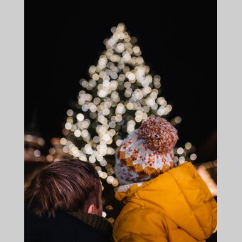 Christbaum bestaunen beim Hartberger Weihnachtszauber | © Oststeiermark Tourismus | studio draussen