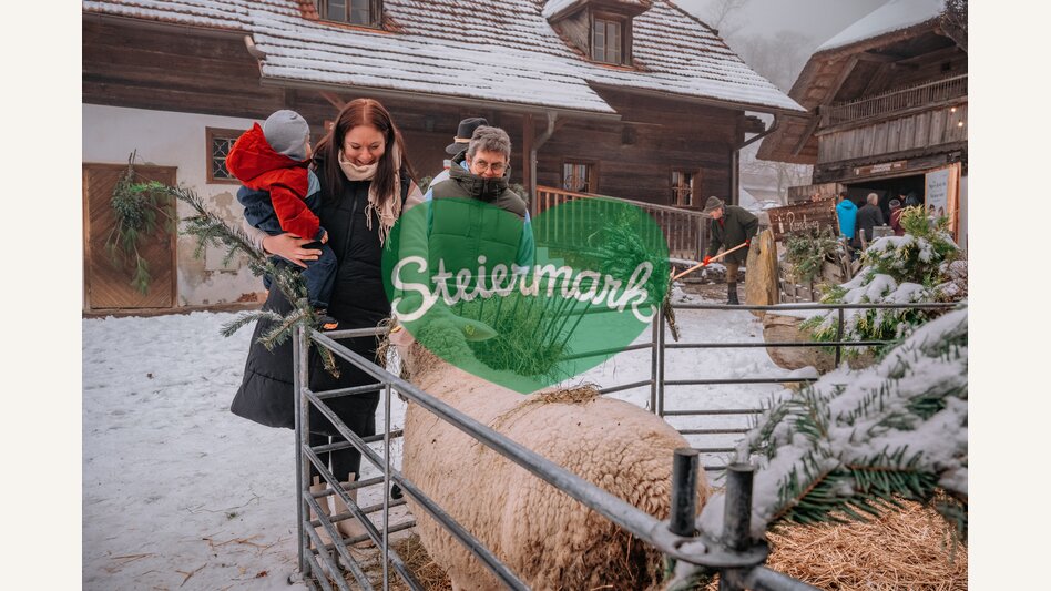 ©  Oststeiermark Tourismus | Rene Strasser