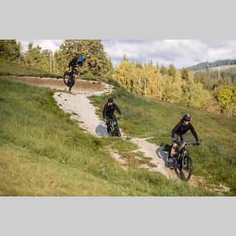 Biker im Trailland Miesenbach | ©  Oststeiermark Tourismus | Klaus Ranger