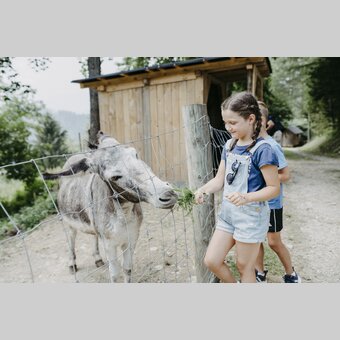 Esel füttern im Waldpark Hochreiter im Naturpark Almenland in der Oststeiermark | Rene Strasser | © Oststeiermark Tourismus, Rene Strasser