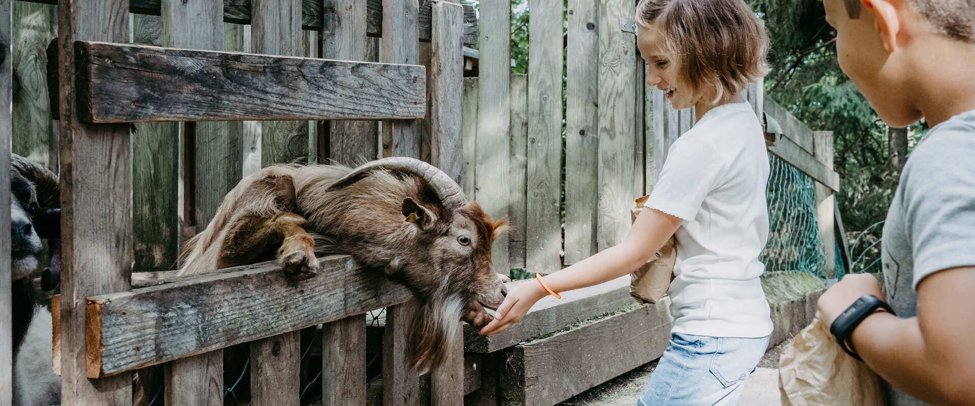 Children in the Hochreiter forest park in Eastern Styria | © Waldpark Hochreiter | Dagmar Frühauf