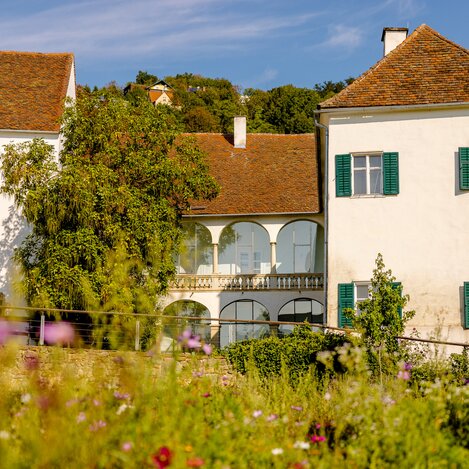 Hartberg castle in summer with flower meadow | © TV Oststeiermark | Wolfgang Spekner