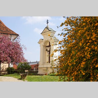 Blühende Bäume am Kirchplatz in Hartberg in Oststeiermark | © Oststeiermark Tourismus | Bernhard Bergmann